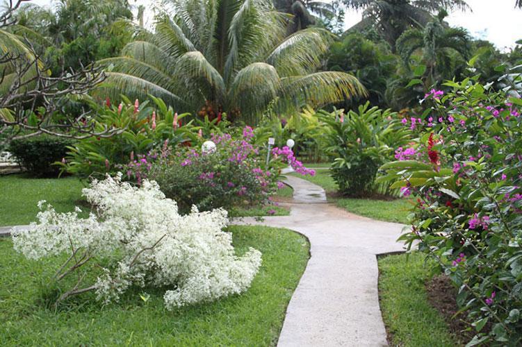 Vila Fleurs Des Iles Deshaies Exteriér fotografie